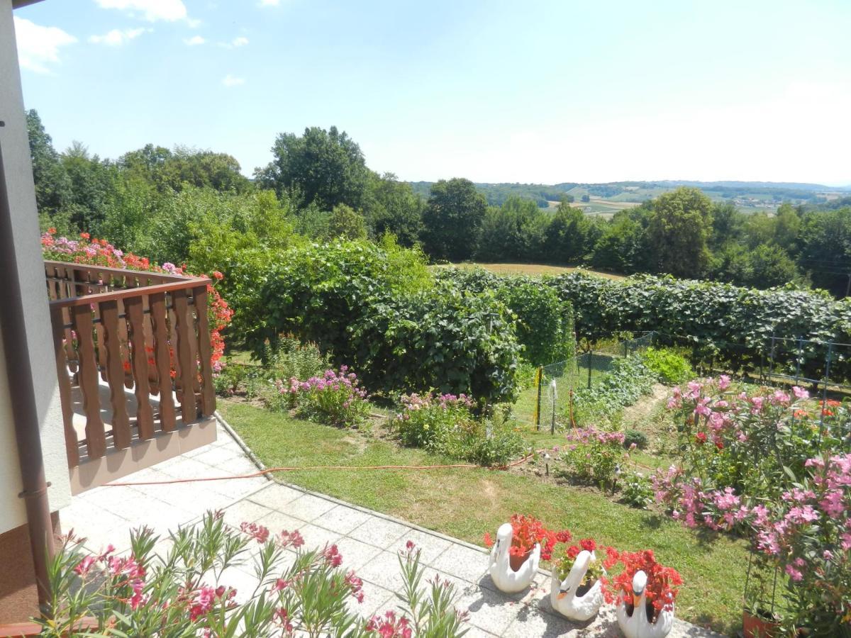 Urlaub Fuer Die Seele - Erholung Pur In Der Natur - Ferienhaus Mit Infrarotkabine & Relax-Raum Rucmanci Exterior foto